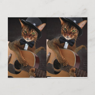 Postal Guitarrista Gato Genial