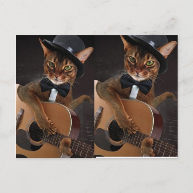 Postal Guitarrista Gato Genial  (Anverso)