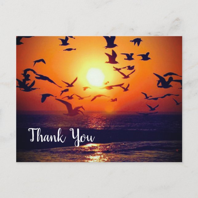 Postal Gulls Silhoueted by Naranja Sunset Gracias (Anverso)