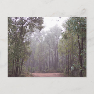 Postal Gum Trees