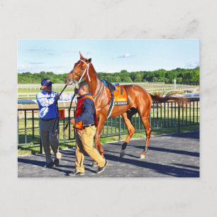 Postal Gun Runner