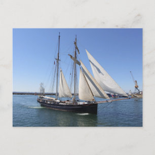 Postal Gusano de topsail