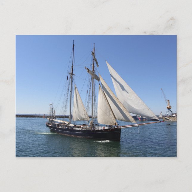 Postal Gusano de topsail (Anverso)