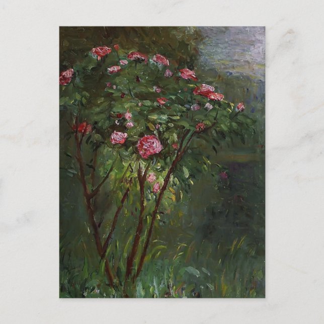 Postal Gustave Caillebotte - Rosa Bush en flor (Anverso)
