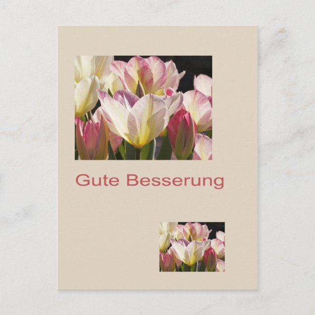 Postal Gute Besserung Postkarte (Anverso)