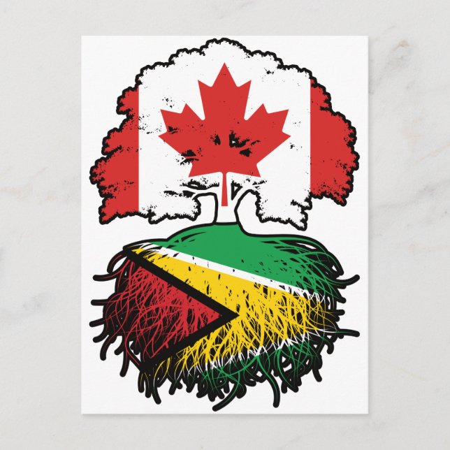 Postal Guyana Guyanés Canadiense Canadá Árbol Raíces Band (Anverso)