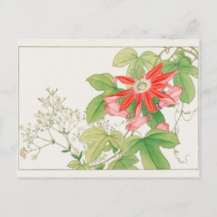 Postal Gypsophila, Flor de la pasión por Tanigami Konan