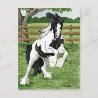 Postal Gypsy Vanner en el juego Arte de Caballos