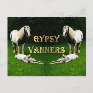 Postal Gypsy Vanners