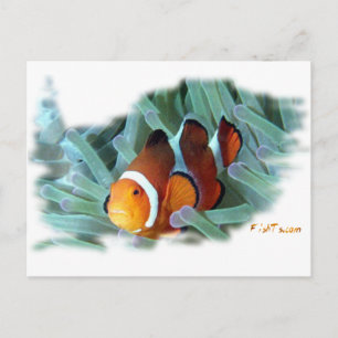 Postal H2Oasis Clownfish