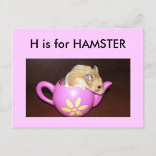 Postal "H" es para Hamster Alphabet Flashcard