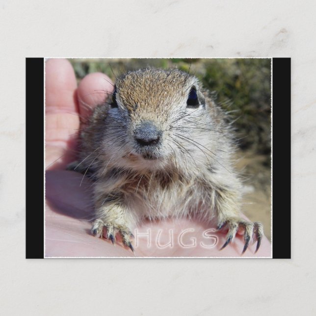 POSTAL H U G S (Anverso)