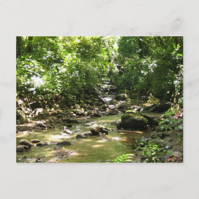 Postal Habitation Céron 2 - Martinica, F.W.I. (Anverso)