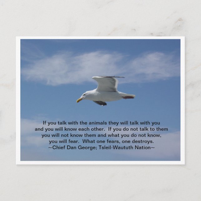 Postal Hablar con los animales (Anverso)