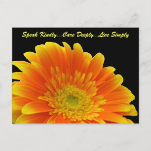Postal Hable Kindly Gerbera Postcard