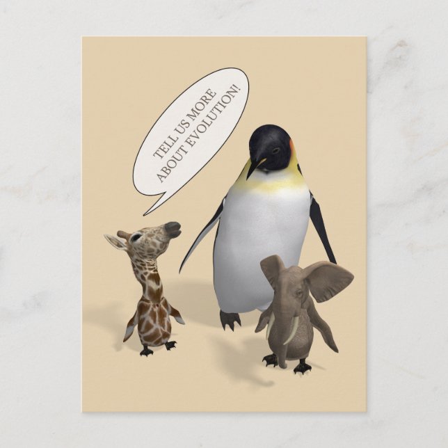 Postal Hablemos de la evolución (Anverso)