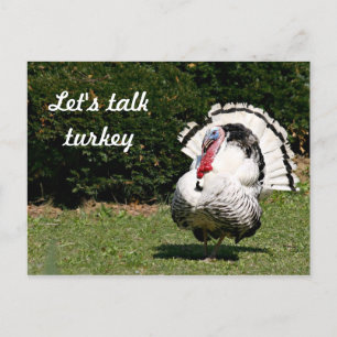 Postal Hablemos de pavo