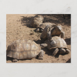 Postal Hacer el amor