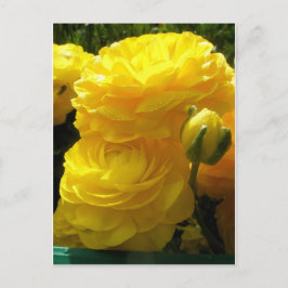 Postal Hacer que el mío sea amarillo