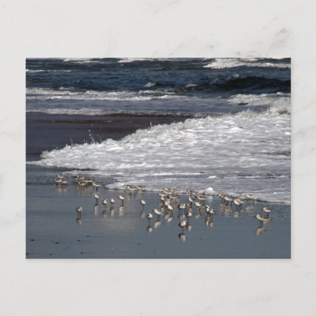 Postal Hacer sonar el Surf (Anverso)