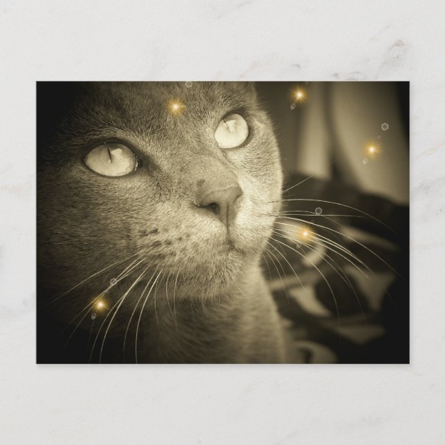 Postal Hacer un deseo (Anverso)