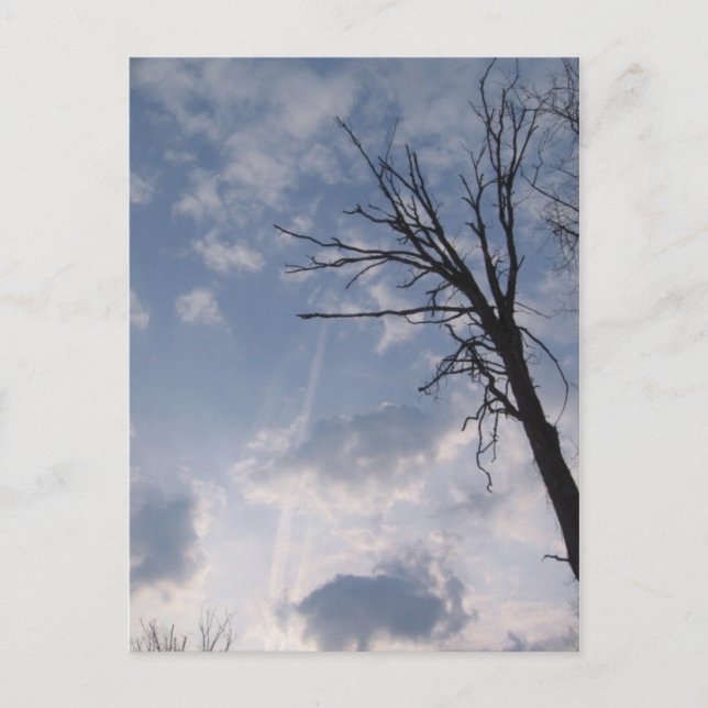 Postal hacia el cielo (Anverso)