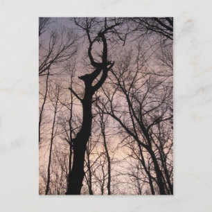 Postal hacia el cielo