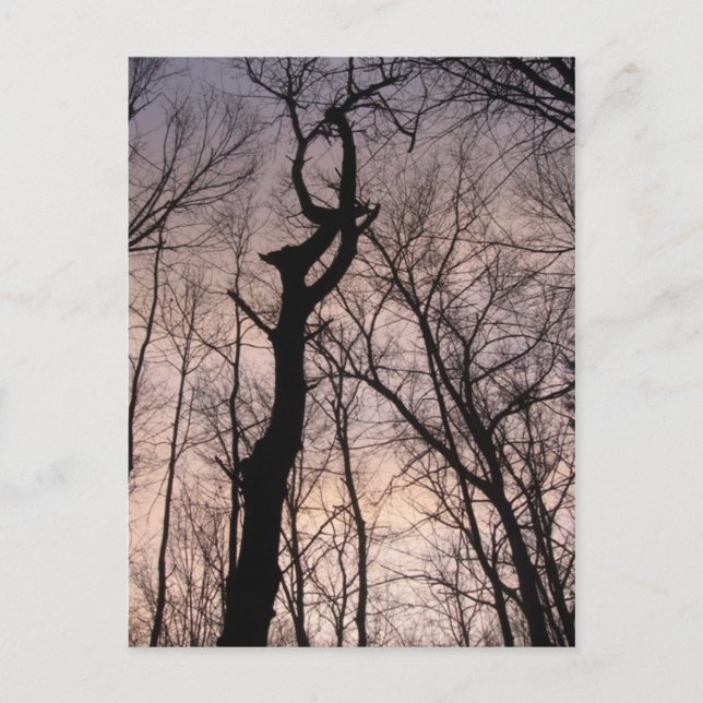 Postal hacia el cielo (Anverso)