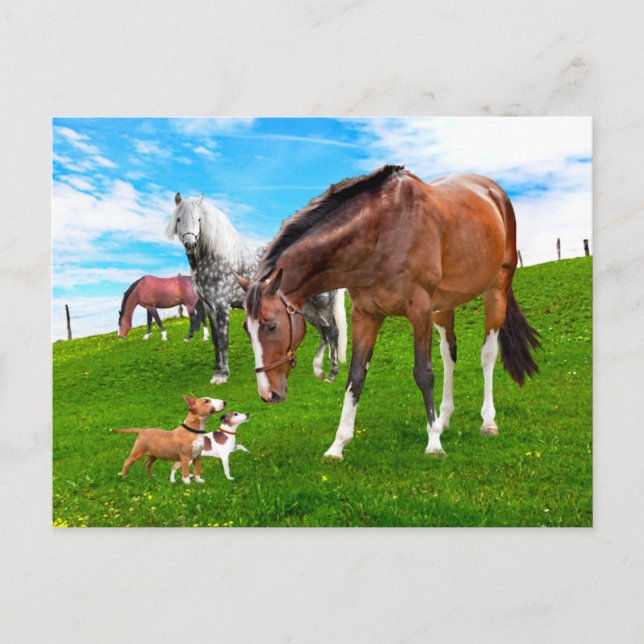 Postal "Haciendo amigos" (Anverso)