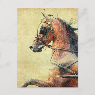 Postal Hackney Pony