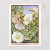 Hada blanca de la enredadera