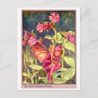 Hada de Campion Rojo