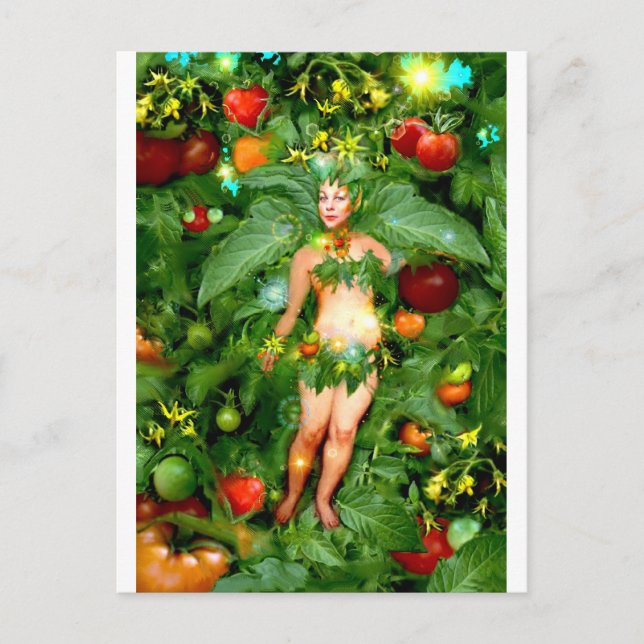 Postal Hada de tomate (Anverso)