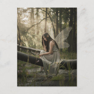 Postal Hadas en el bosque