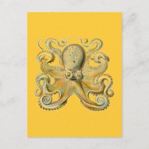 Postal Haeckel Octopus