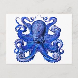 Postal Haeckel Octopus Blue