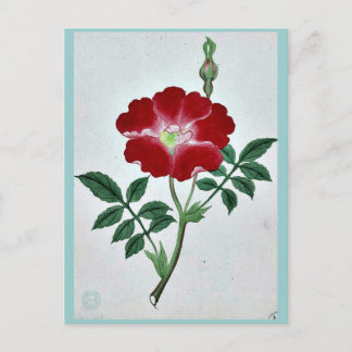 Postal Hai kai kuwa - marzo-abril Ukiyo-e.