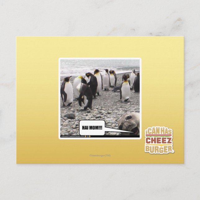 POSTAL ¡¡¡HAI MOM!!! (Anverso)