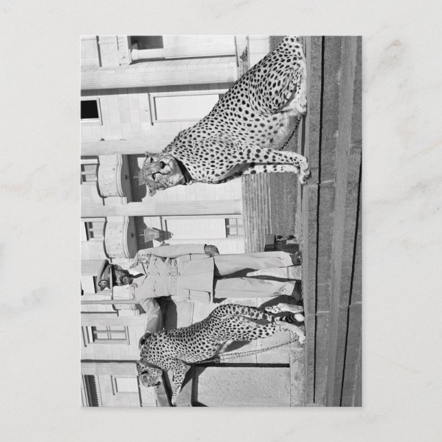 Postal Haile Selassie - ÉL - Rastafari - Postcard (Anverso)