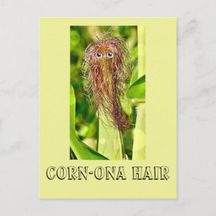 Postal Hair Humor Post Card