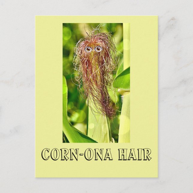 Postal Hair Humor Post Card (Anverso)