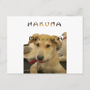 Postal "Hakuna Matata Cachorro" – Amor de Cachorro Sin Pr