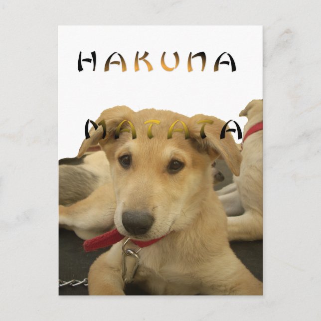 Postal Hakuna Matata Sé lo que estás pensando (Anverso)