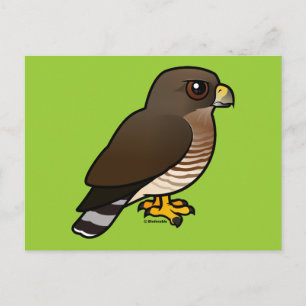 Postal Halcón de ala ancha