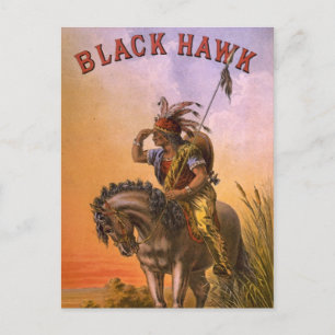 Postal Halcón negro nativo indio americano