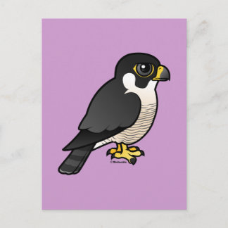 Postal Halcón Peregrino