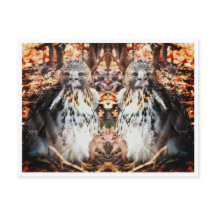 Halcón rojo doblado