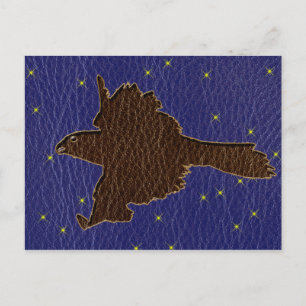 Postal Halcón Zodiaco Nativo Estadounidense De Cuero