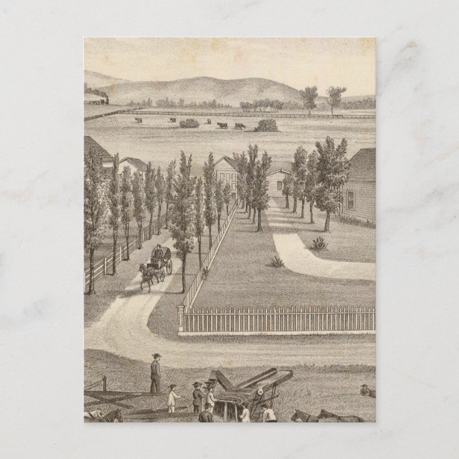 Postal Haley res, granja (Anverso)