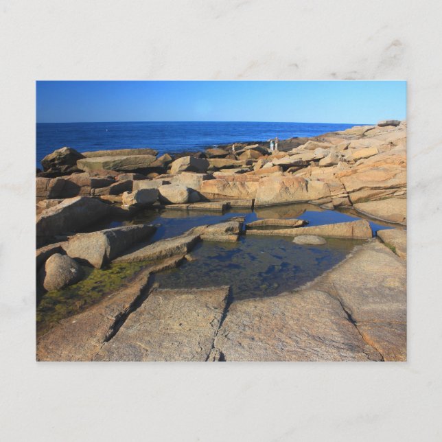 Postal Halibut Point Tide Pool Rockport Cape Ann (Anverso)